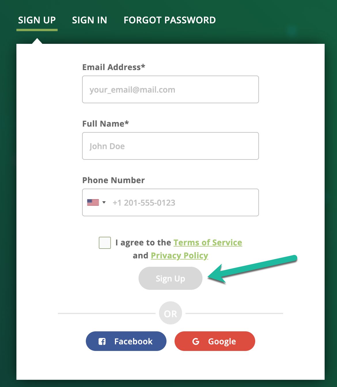 Fill out the form and click Sign Up at the bottom of the form. Note that a phone number is not required, but accepting the terms and conditions is. The Sign Up button will turn green when you've properly filled out the form.